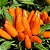 Pimenta Estromboli Ornamental: 20 Sementes - Imagem 1