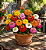 Zinnia Lilliput Sortido: 15 Sementes (Zinia) - Imagem 1