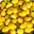Tomate Yellow Plum: 20 Sementes - Imagem 1