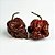 Trinidad Scorpion Chocolate: 10 Sementes - Imagem 2