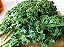 Couve Kale Arizona - 50 Sementes - Imagem 4