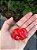 Pimenta Moruga Red - 10 Sementes - Imagem 1