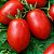 Tomate IPA 6: 20 Sementes - Imagem 1