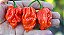Pimenta Naga Morich: 10 Sementes - Imagem 1