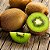Sementes de Kiwi - 20 Sementes - Imagem 1