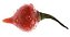 Pimenta Biquinho - Capsicum chinense - 400 Sementes - Imagem 4