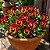 Amor Perfeito Vinho Dinamite - Viola tricolor: 15 Sementes - Imagem 1