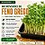 Microverdes Feno Grego: 250 Sementes - Imagem 1