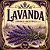 Alfazema - Lavandula angustifolia - 15 Sementes - Imagem 1