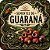 Guaraná - 5 Sementes - Imagem 1