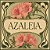 Azaléia Sortida: 20 Sementes - Imagem 1