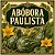 Abóbora Paulista: 5 Sementes - Imagem 1