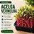 Microverdes Acelga Vermelha: 250 Sementes - Imagem 1