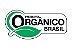 Cebolinha Todo Ano Orgânico Brasil 0,4g - Imagem 1