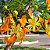 Flamboyant Amarelo - Delonix regia sp. - 5 Sementes - Imagem 2