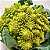 Couve Romanesca  - 50 Sementes - Imagem 2