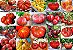 Tomates Sortidos - 100 Sementes - Imagem 4
