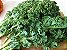 Couve Kale Arizona - 50 Sementes - Imagem 3