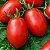 Tomate IPA 6: 20 Sementes - Imagem 1