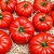 Tomate Gaúcho-Maça (Marmande): 20 Sementes - Imagem 1