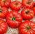 Tomate Gaúcho-Maça (Marmande): 20 Sementes - Imagem 1