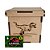AL007 - Lembrancinha Personalizada Caixa mdf Personalizada com Semente Gravada - Tema Dinossauros - Imagem 1