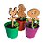 AL348 - Lembrancinha Cultivo com Mini Vaso e Aplique Personalizado MDF - Estrela (Super Mario) - Imagem 2