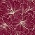 Tecido Tricoline Flor de Hibisco fundo Vinho - Imagem 1