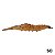 Isca Camarão Kamikaze 6.0cm - Imagem 6
