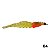 Isca Camarão Kamikaze 6.0cm - Imagem 9