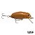 Isca Strike Pro Beetle Buster 40 - Imagem 5