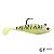 Isca Storm Wildeye Swim Shad 8cm 10g 3pçs - Imagem 4