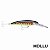 Isca Rapala X-Rap Saltwater Magnum XRMAG30 - Imagem 5