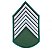 Divisa Bordada 1° Sargento Verde - Imagem 1