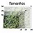 Tapete Higiênico Lavável TaPPet Restinga G 94 x 69 cm - Imagem 5