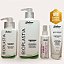 Kit Progressiva Orgânica 1L + Hair Protect + Acidificante pH Help 200ml de Brinde