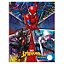Caderno Caligrafia 40fls Capa Dura Spider Man 2023 Tilibra CP2