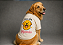 CAMISETA PET VERÃO SOU DA MAMÃE BRANCA GOLDEN RETRIVIER