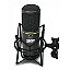 Microfone Condensador para Studio SKS-420 Duas Cápsulas - SKP