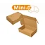 Caixa mini envios 16x11x3