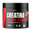 Creatina Monohidratada 100% Pura 300g