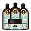 COSMECEUTA Kit Vegano Tratamento e Finalização Power Cachos - Shampoo, Condicionador, Leave-in e Máscara