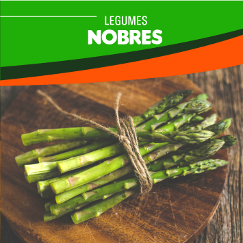 Legumes Nobres