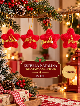 ENFEITE DECORATIVO DE NATAL PELUCIADO ESTRELA FRASES 10CM UNITÁRIO - MULTIART