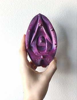 Suporte de Chaves Vulvárias Vulva