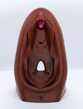 Vulva Educativa Grande Modelo Anatômico 3D