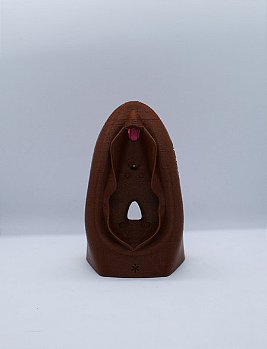 Vulva Educativa Pequena Modelo Anatômico 3D