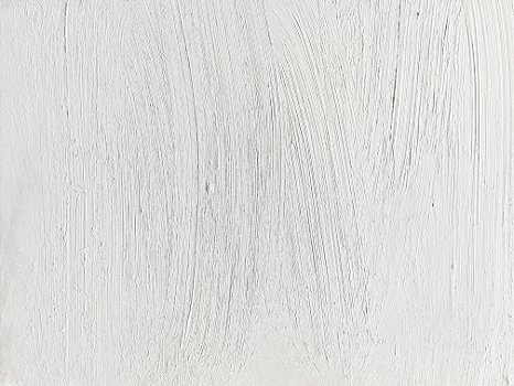 01.t. Tinta a Óleo BRANCO DE TITÂNIO - PW6 Joules & Joules