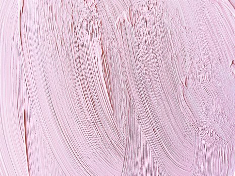13.m. Tinta a Óleo ROSA RADIANTE Joules & Joules