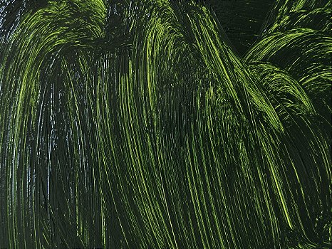 06.m. Tinta a Óleo VERDE VESSIE Joules & Joules